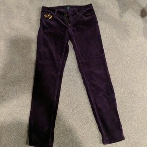 Polo corduroy pants